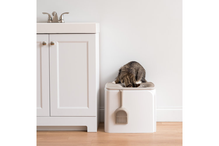 Cat litter clearance box furniture wayfair